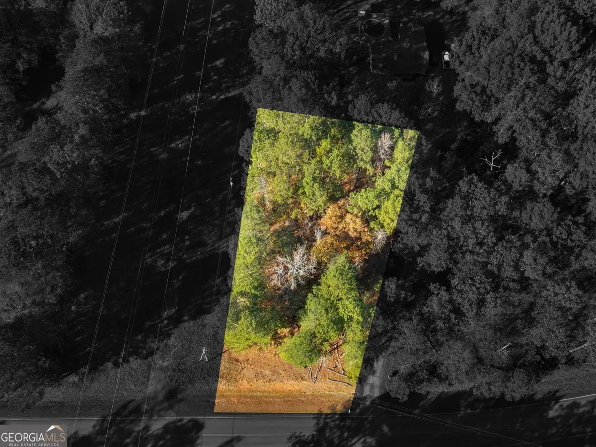 0 Freeman Road, Hampton, GA 30228 - Image #1