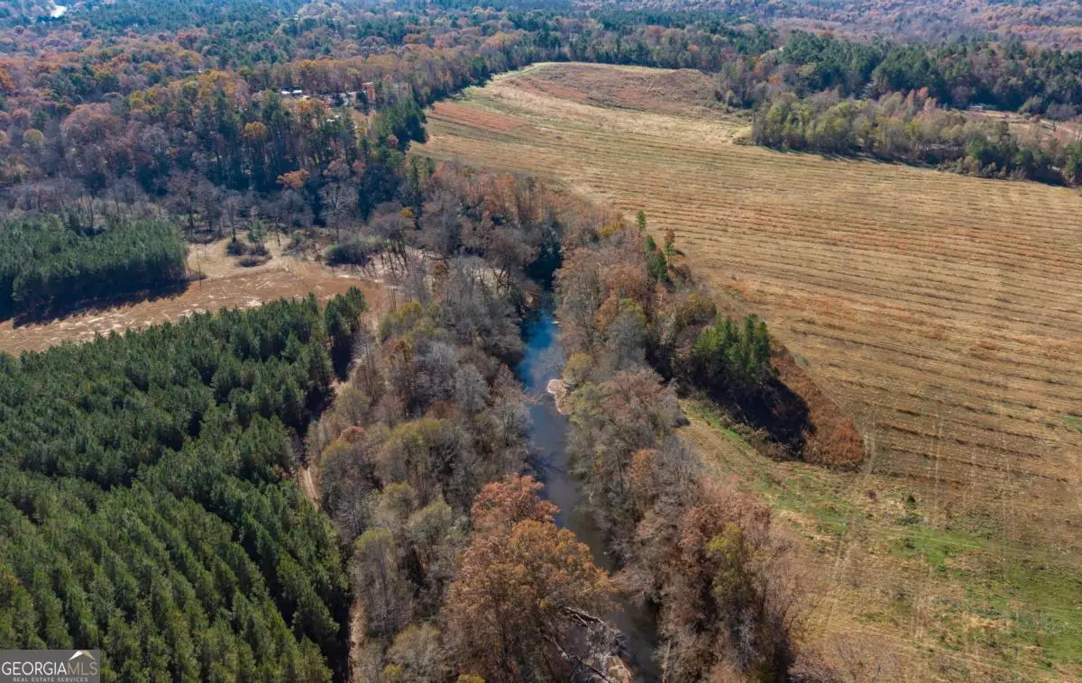 LOT 2 Steadman Lane, Tallapoosa, GA 30176 - Image #1