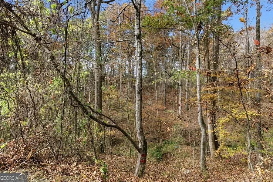 5198 W Holiday Court Se, Acworth, GA 30102 - #2