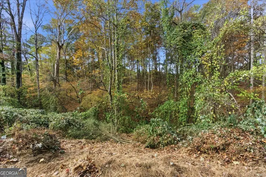 5198 W Holiday Court Se, Acworth, GA 30102 - #3