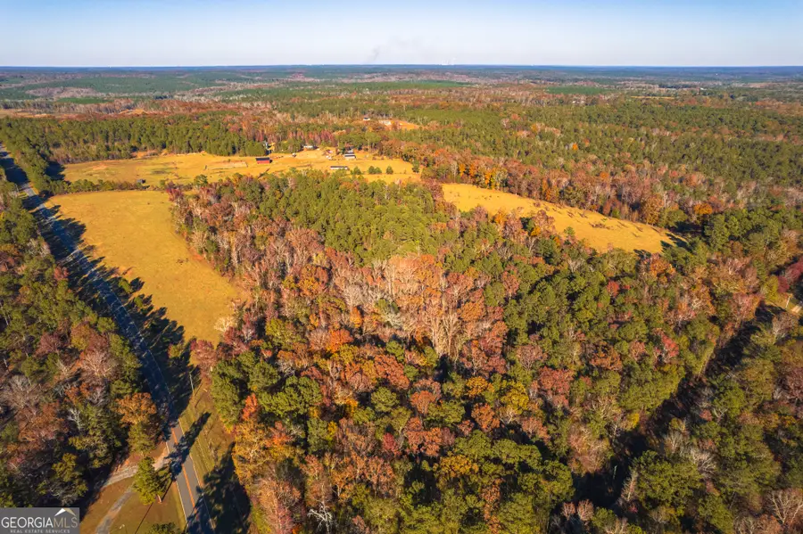 0 Pine Grove Church Road, Culloden, GA 31016 - Image #3