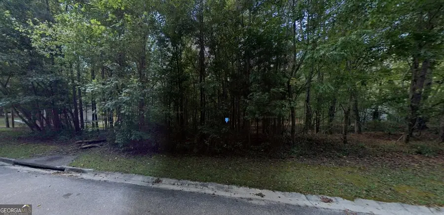 46 Lullwater Court, Sharpsburg, GA 30277 - Image #2