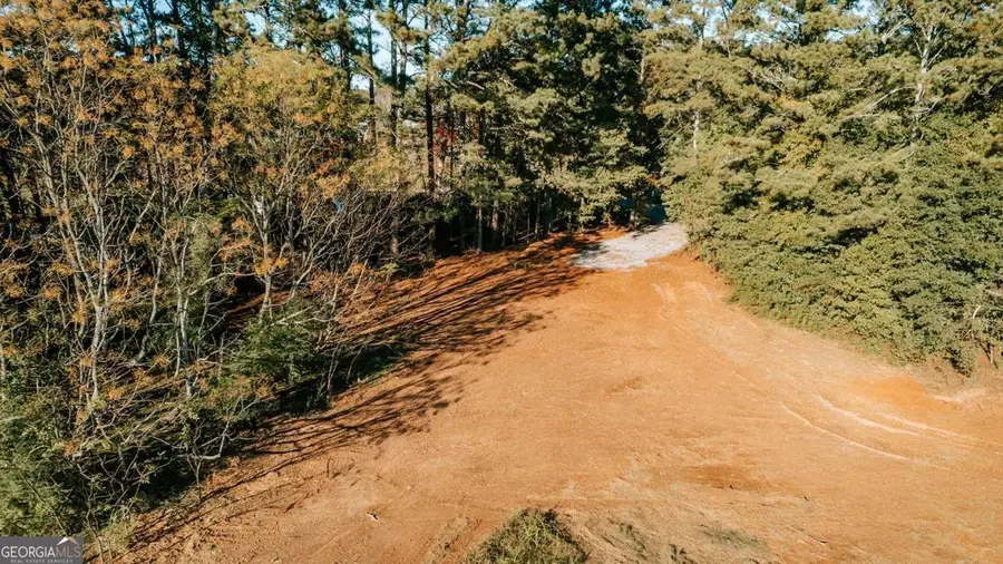 TRACT 6 Lakeview Drive, Winterville, GA 30683 - #2