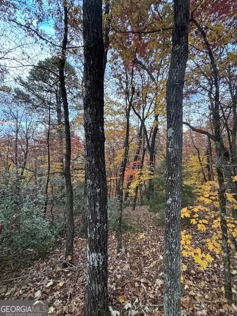 595 Whispering Dale Drive, Clarkesville, GA 30523 - #1