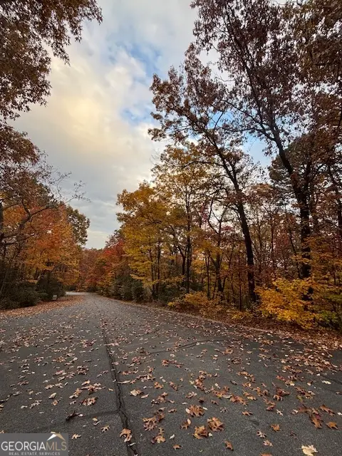 595 Whispering Dale Drive, Clarkesville, GA 30523 - #2