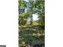 0 Briar Patch Lot 16 Place, Townsend, GA 31331 - Image #2