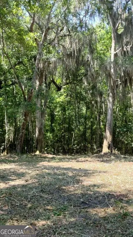 0 Briar Patch Lot#27 Place, Townsend, GA 31331