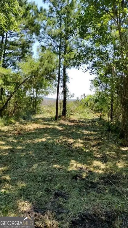 0 Briar Patch Lot#27 Place, Townsend, GA 31331 - #2