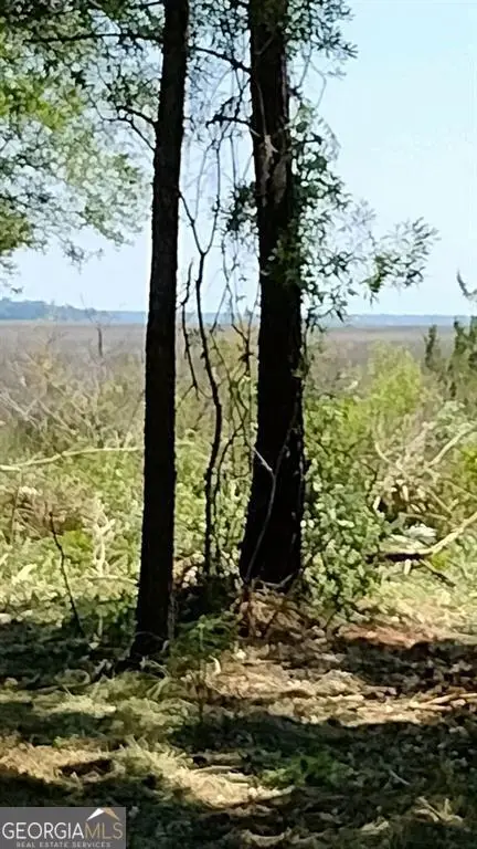 0 Briar Patch Lot#27 Place, Townsend, GA 31331 - #3