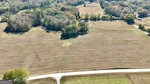 LOT 3 Mask Road - Hanner's Farm South, Brooks, GA 30205