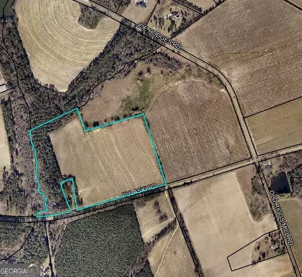 0 LOT 2 Pulaski Road, Statesboro, GA 30458 - Image #2