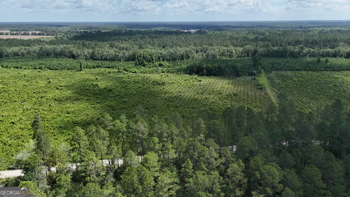 TRACT 3 Bennett Mill Pond Road, Odum, GA 31555 - Image #1