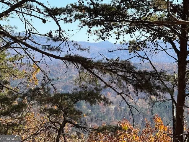 0 John Call Road, Talking Rock, GA 30175 - Image #3