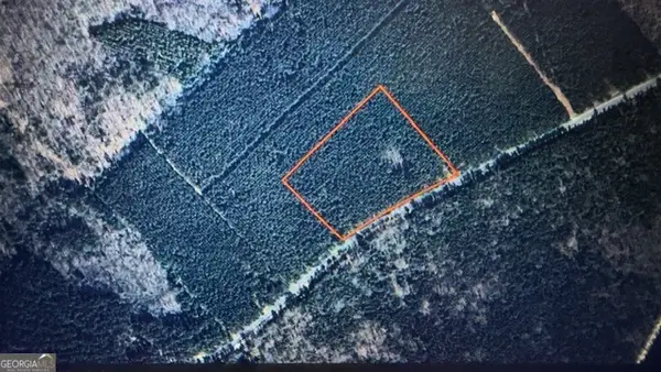 LOT 8-9 Rocky Springs Road, Eastman, GA 31023