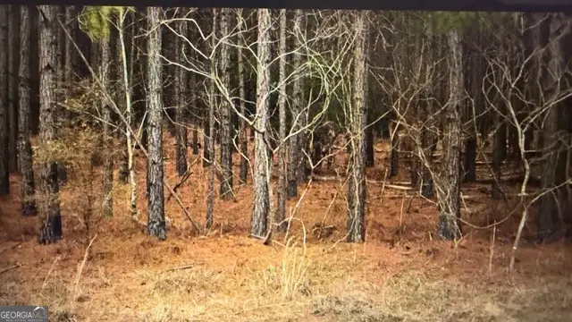 LOT 8-9 Rocky Springs Road, Eastman, GA 31023 - Image #2