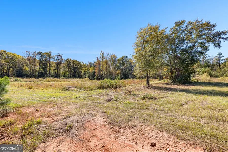 0 Bankston Road, Meansville, GA 30256 - Image #3