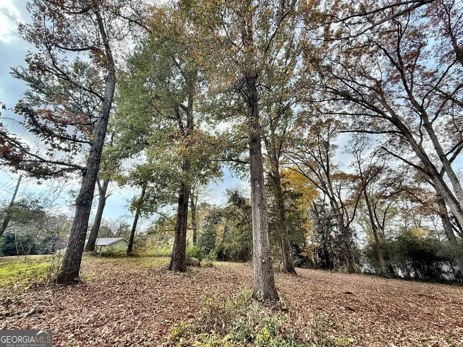 0 S Lee Street, Forsyth, GA 31029 - Image #2