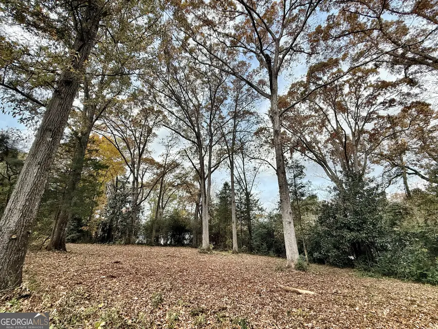 0 S Lee Street, Forsyth, GA 31029 - Image #3