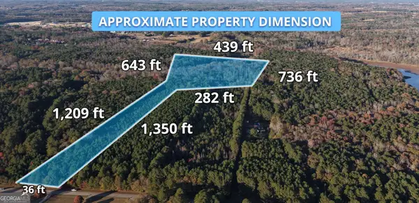 LOT #1 S Hampton Annex, Hampton, GA 30228
