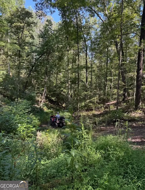 0 Turkey Court #LOT 42 & 46, Waco, GA 30182 - Image #2