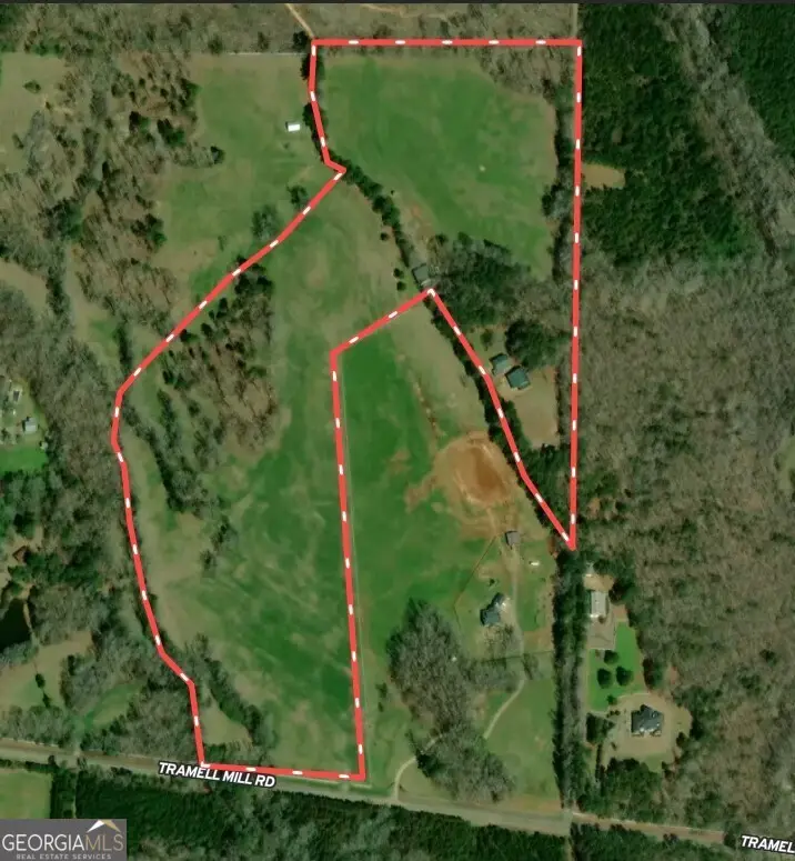 2763 Trammell Mill Road, Shiloh, GA 31826 - #1