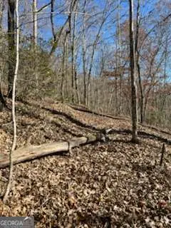 1918 Creekstone Lane, Young Harris, GA 30582 - Image #3