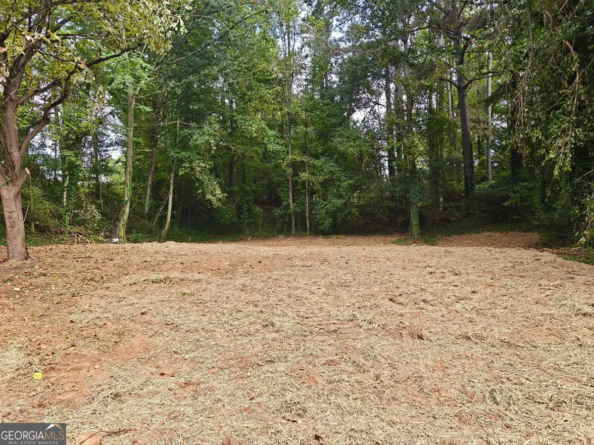 4043 Mckinley Drive, Snellville, GA 30039 - #1