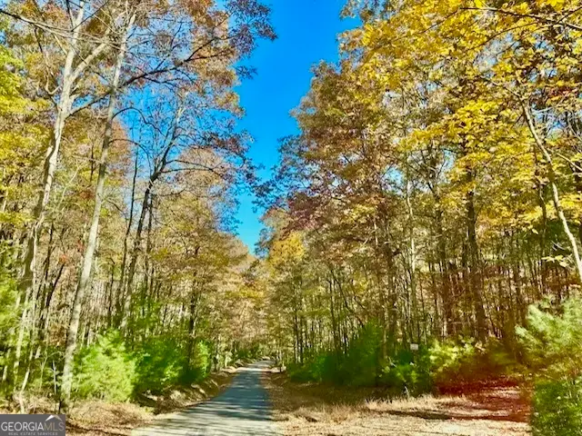 156 Peter Knob Road, Blue Ridge, GA 30513 - Image #2