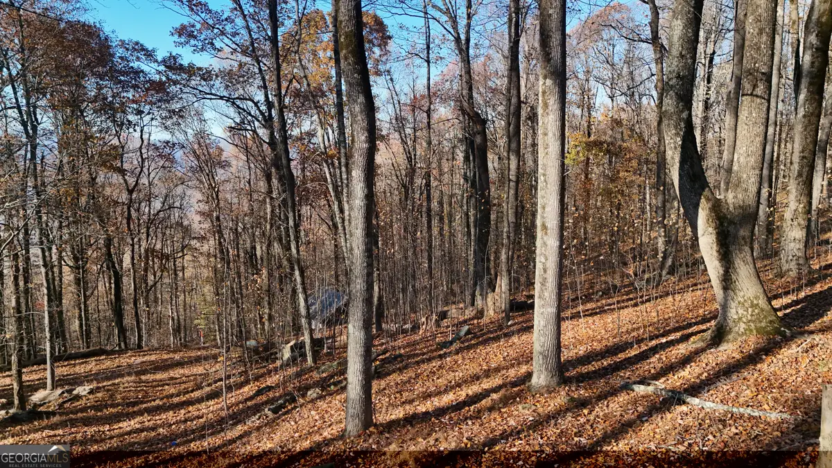 LOT 11 Mountainside Drive, Cleveland, GA 30528 - Image #1