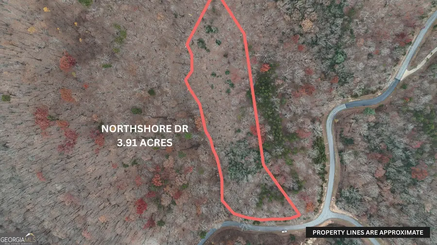 LOT 183 Northshore Drive, Cleveland, GA 30528 - Image #2