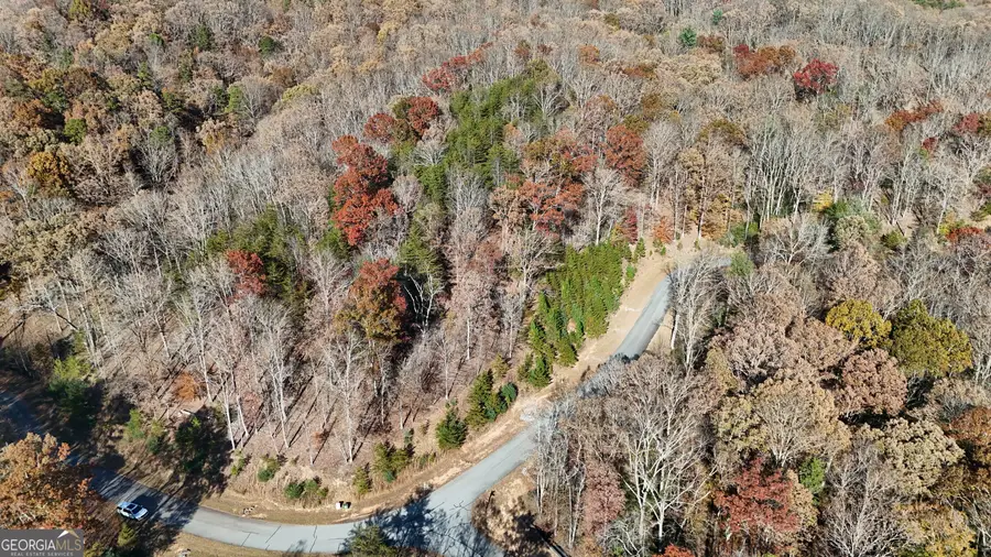 LOT 184 Northshore Drive, Cleveland, GA 30528 - Image #3