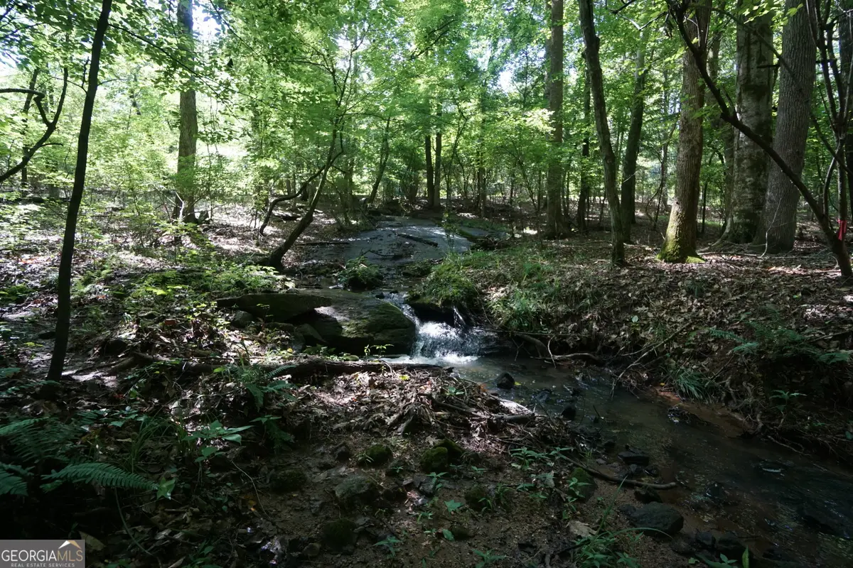 0 Springdale Drive, Palmetto, GA 30268 - Image #1