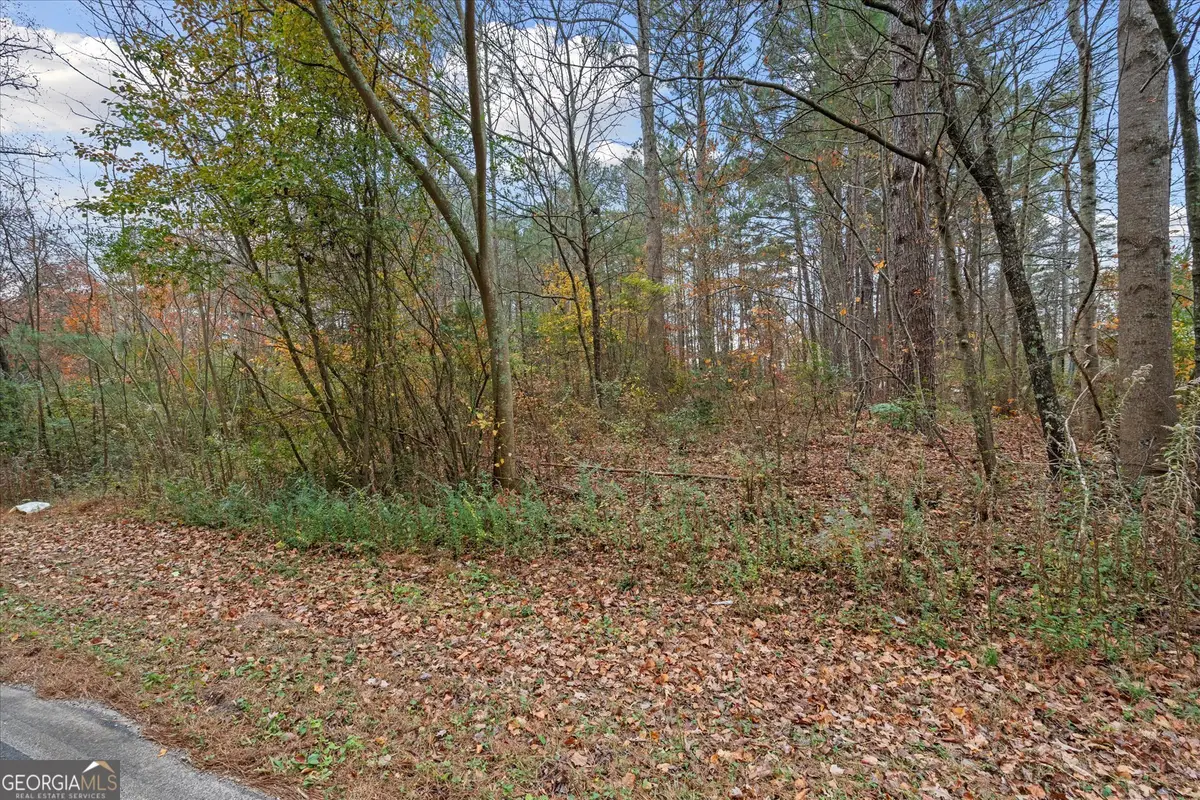 231 Buncombe Waco Road, Waco, GA 30182 - Image #1