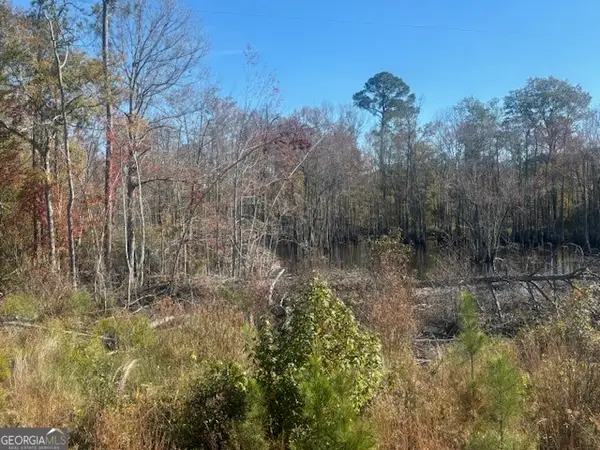 0 Jd Williams Road, Cadwell, GA 31009