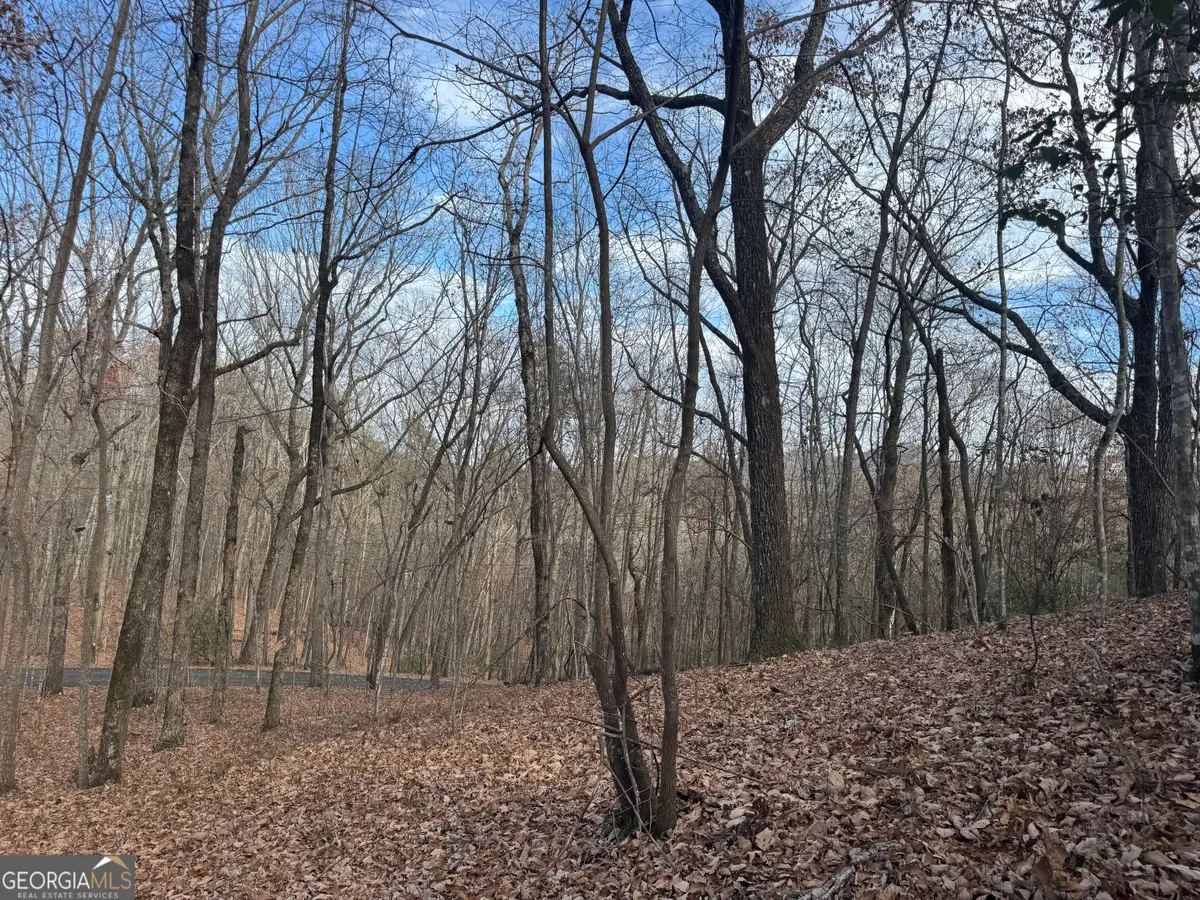 0 Geneva Place, Sautee Nacoochee, GA 30571 - Image #1