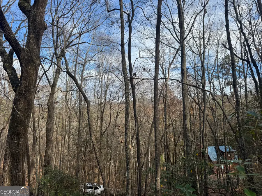 0 Geneva Place, Sautee Nacoochee, GA 30571 - #3