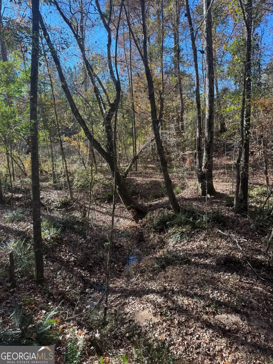 4509 Hwy 18, West Point, GA 31833 - Image #2