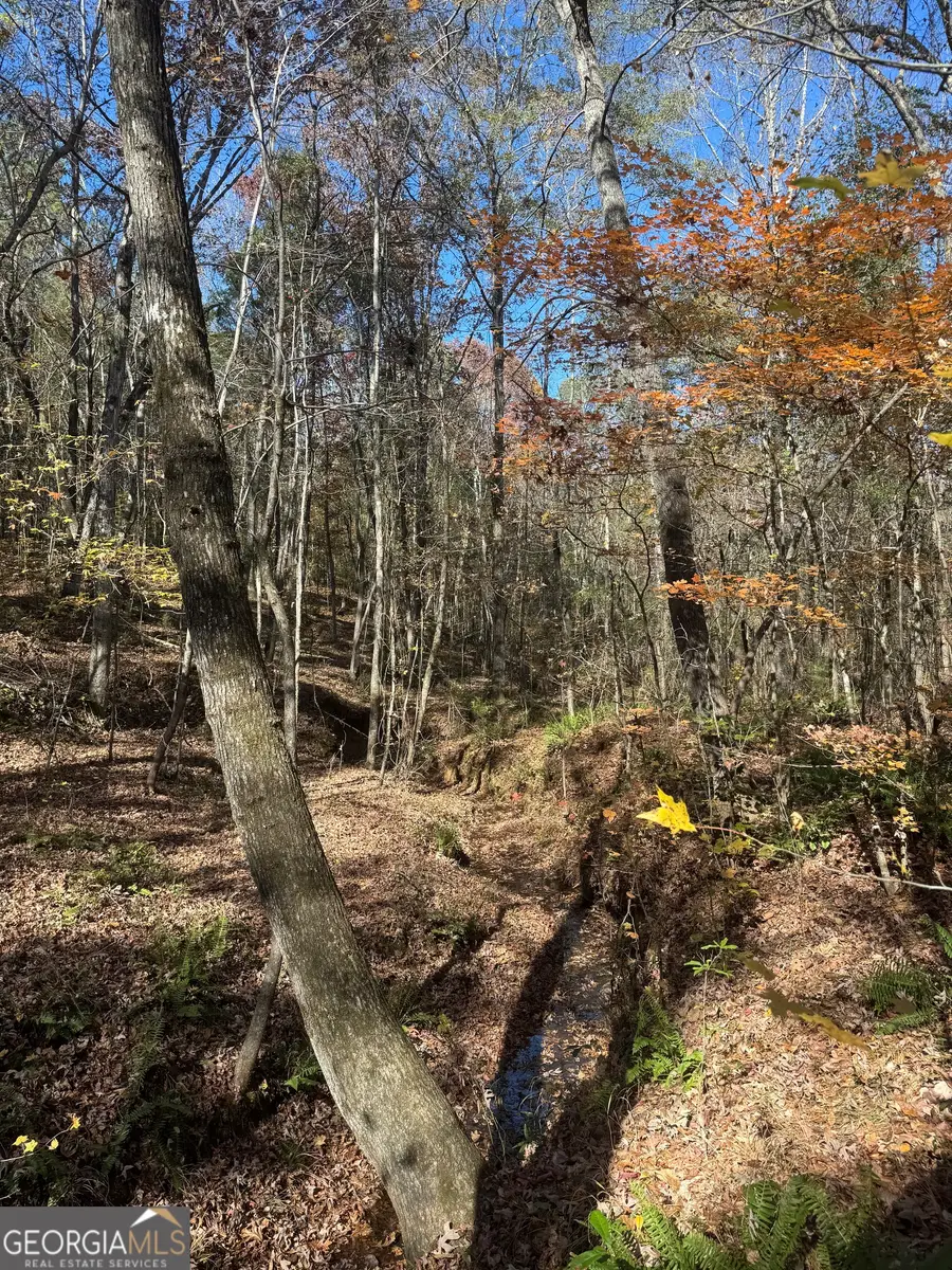 4517 Hwy 18, West Point, GA 31833 - Image #3