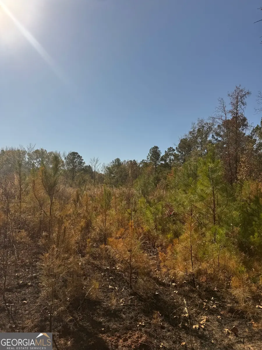 4527 Hwy 18, West Point, GA 31833 - Image #2