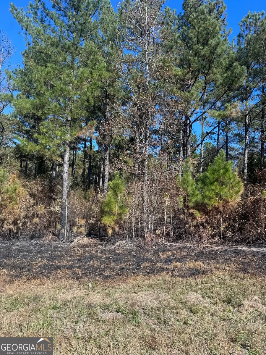 131 W Drummond Road, West Point, GA 31833 - Image #2