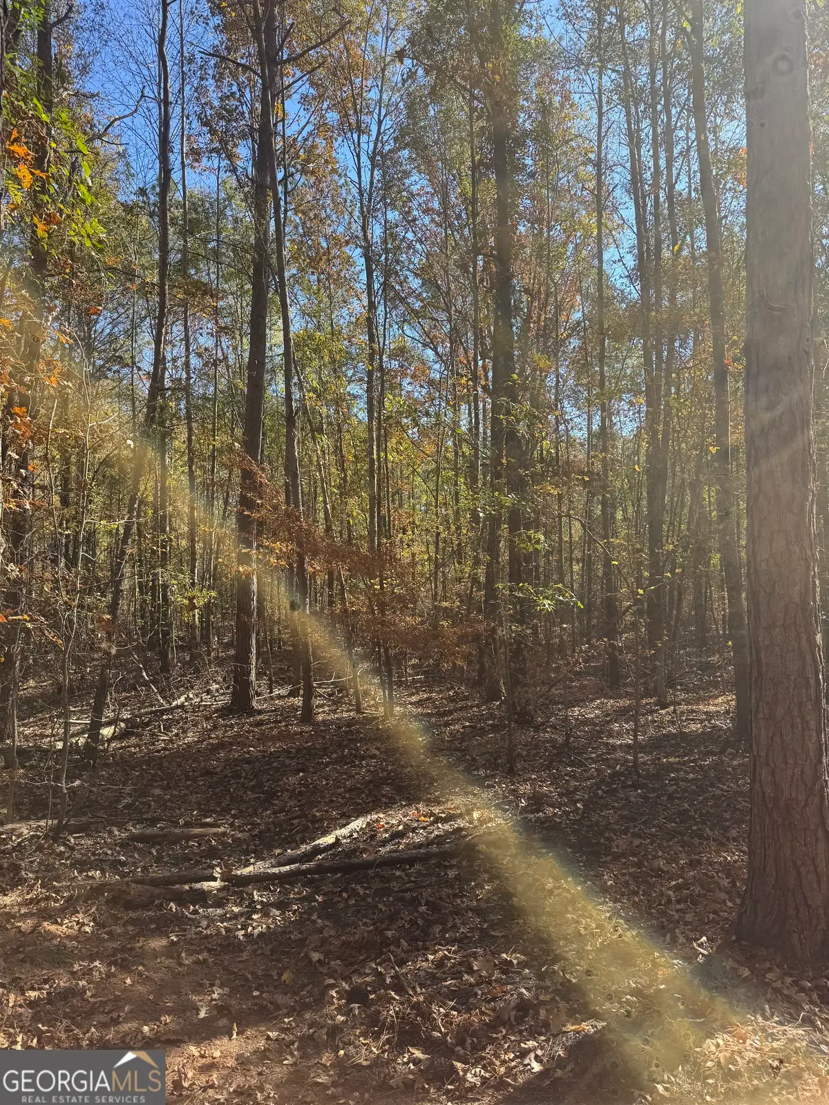 143 W Drummond Road, West Point, GA 31833 - Image #1