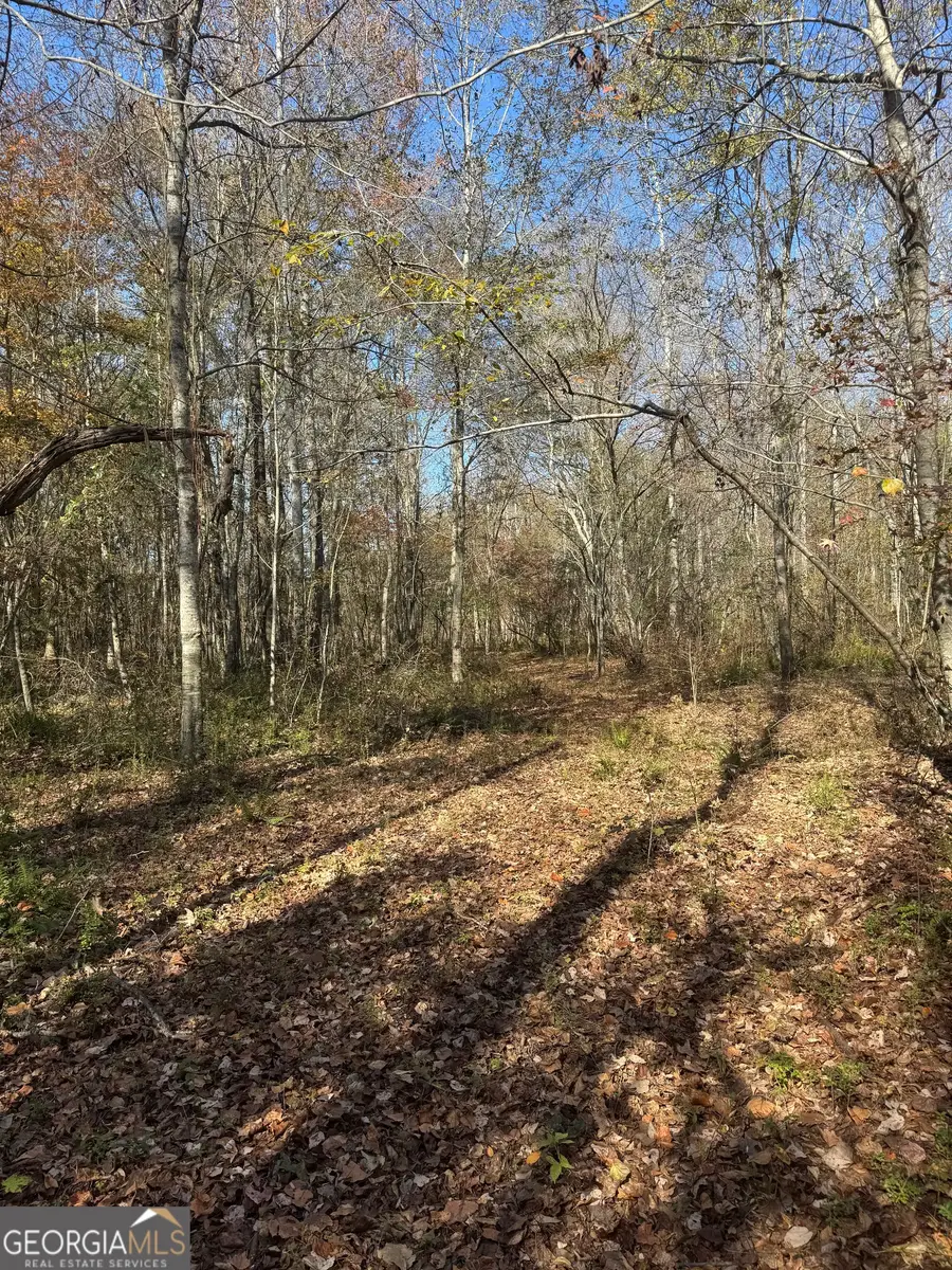 151 W Drummond Road, West Point, GA 31833 - Image #3