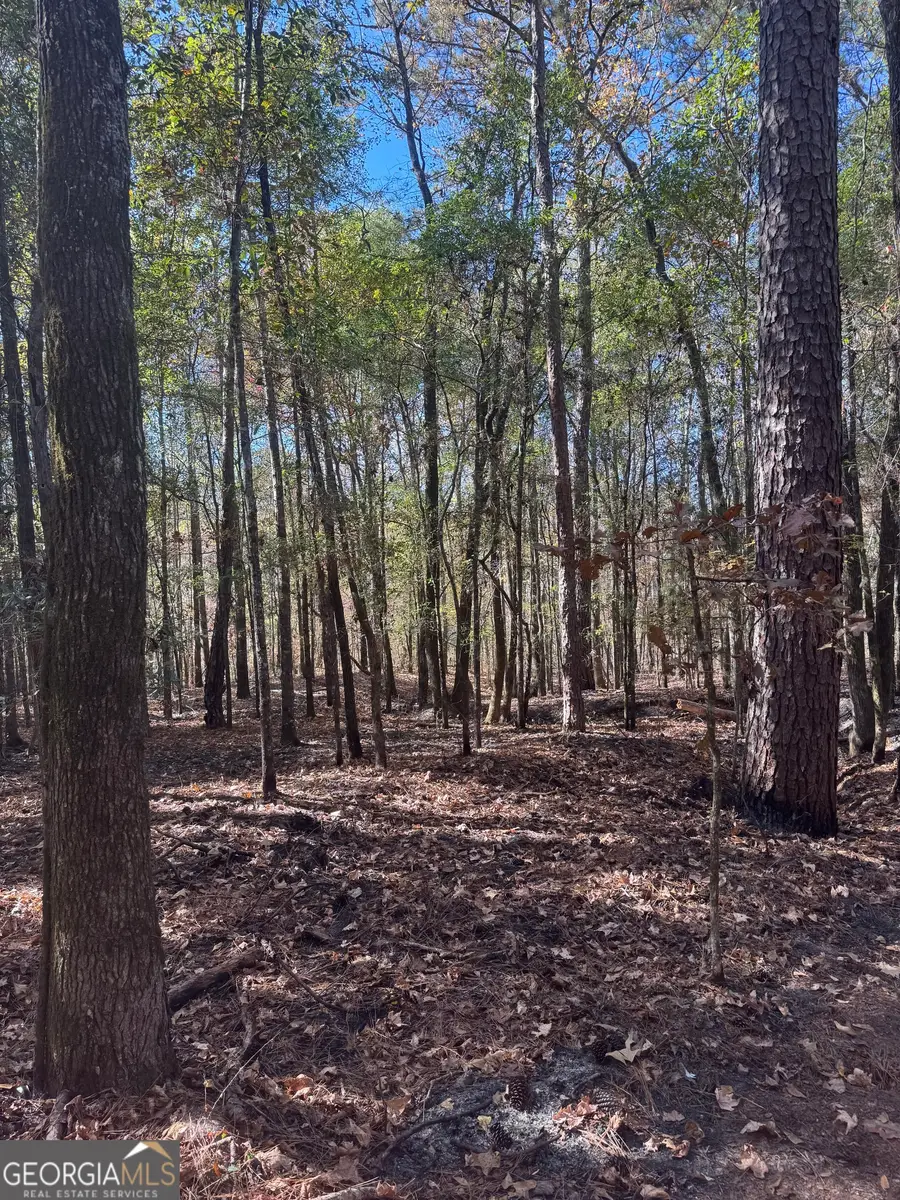 157 W Drummond Road, West Point, GA 31833 - Image #2