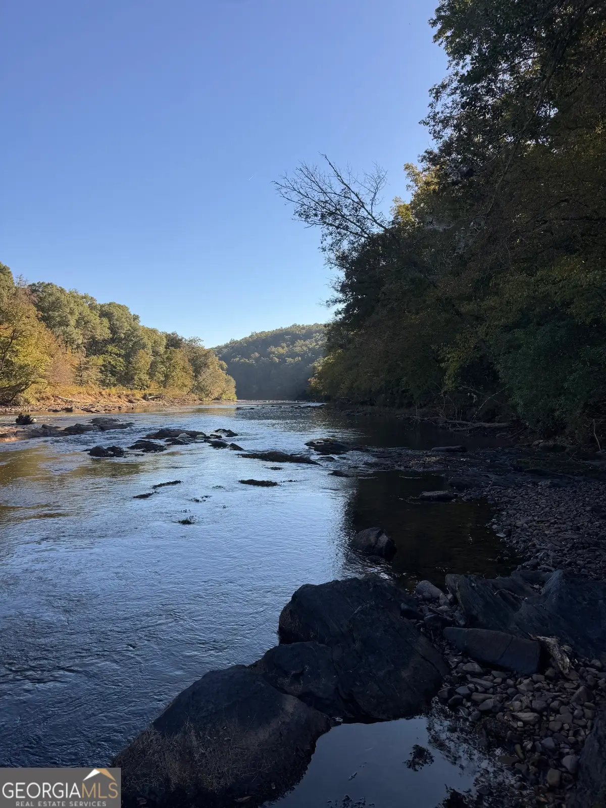 0 Hwy 36 #LOT 3, Woodland, GA 31836 - Image #1