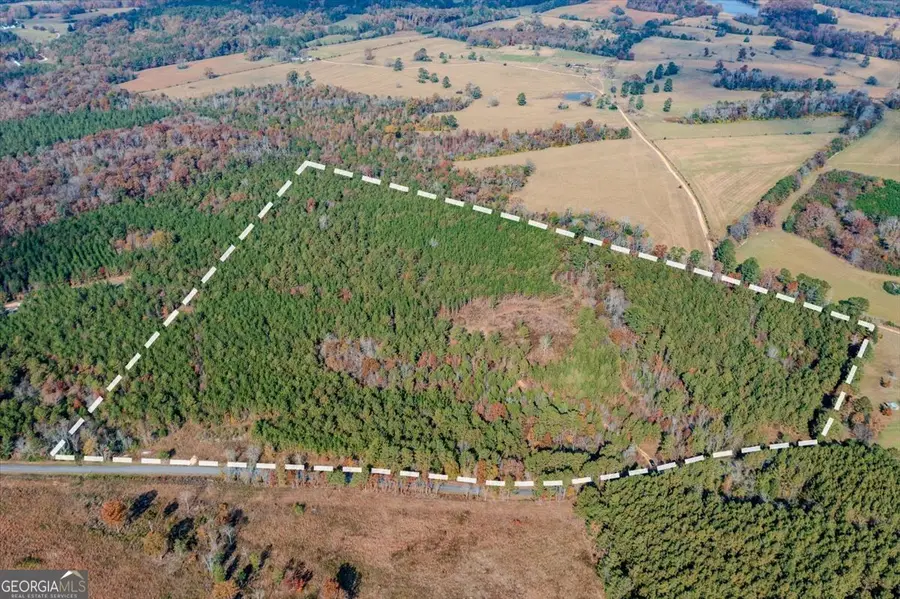 #46 Owens Dairy Road, Lyerly, GA 30730 - Image #3