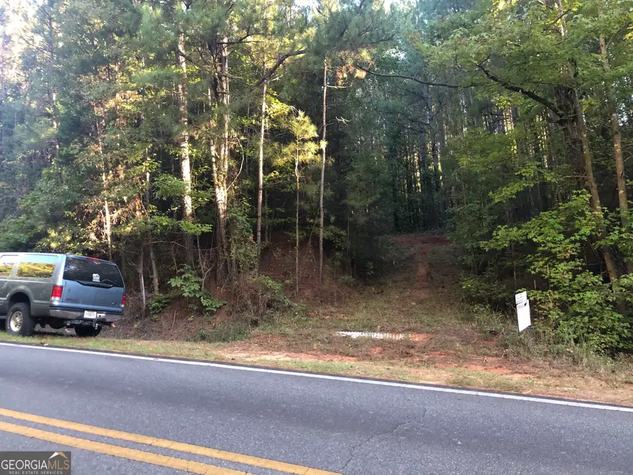 LOT 10 Triune Mill Road, Thomaston, GA 30286 - Image #3