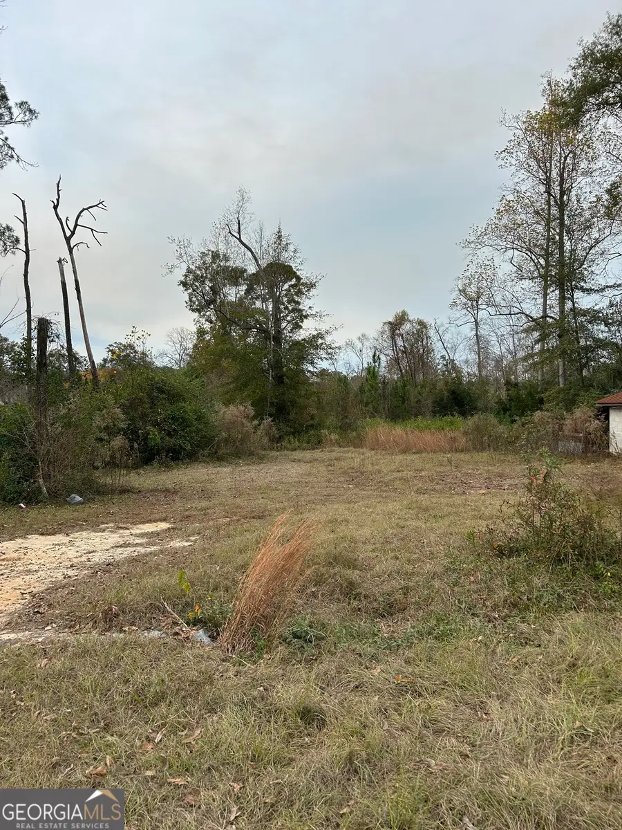 0 Center Avenue, McRae, GA 31055 - Image #3