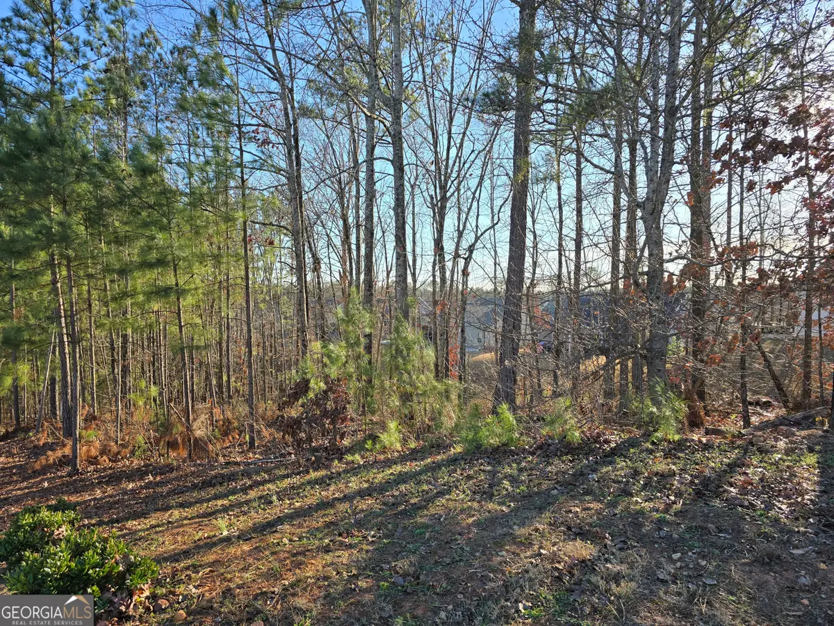 8351 Dublin Drive, Winston, GA 30187 - Image #1