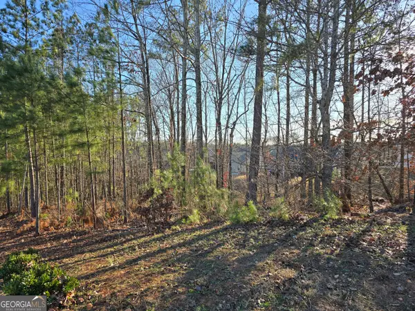 8351 Dublin Drive, Winston, GA 30187