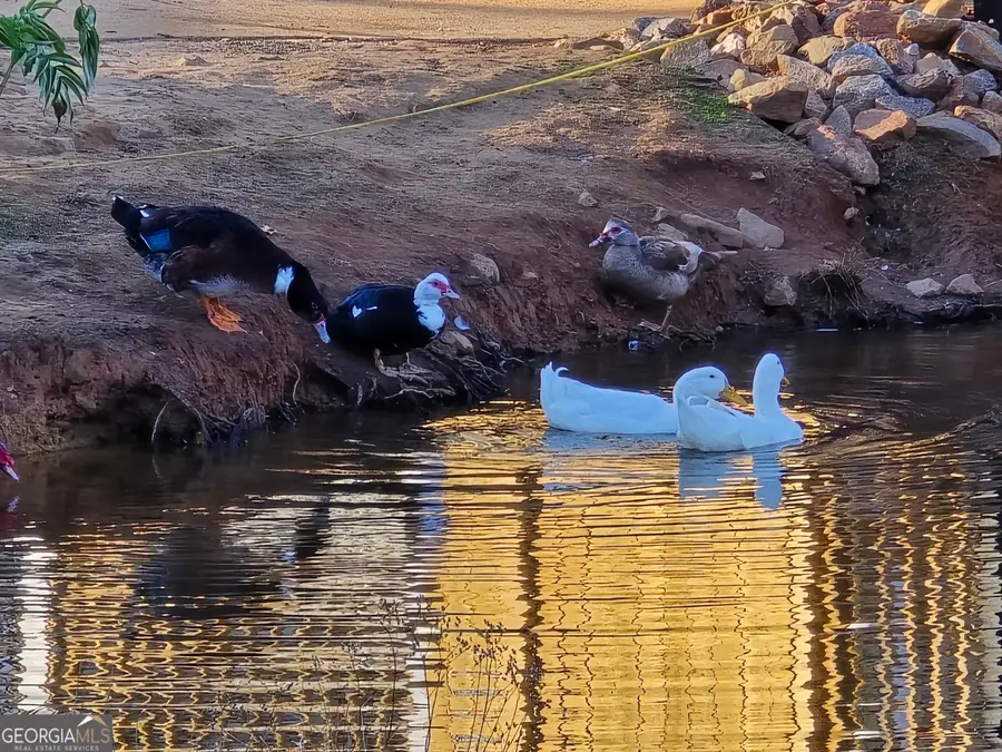 8342 Loch Lomand Lane, Winston, GA 30187 - #3